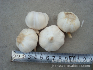 2011½ⴿ4.0cm-6.0cmֹ۸ʵ