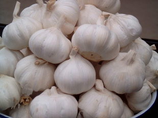 ʥó޹˾