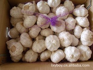 ŷǹ߽5P,200G,10ֽ
