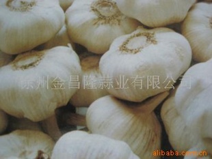 ҹ˾ڼ