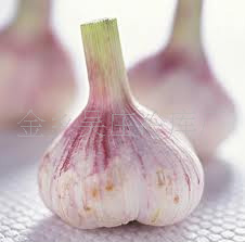 οó޹˾󹺴