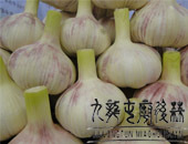 ⣺ȻƷʣ5.5cmϳͷ