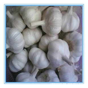 Զΰڹ˾ڼƤ⣬ֹͰװ