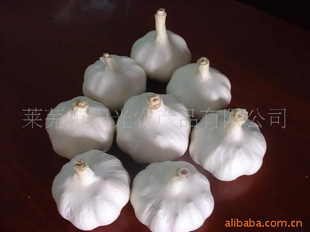 11ڼӹ11ʴ