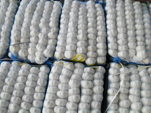 ںƤ⡢1kg*1010kgֽװ⡢Ƥ⡢