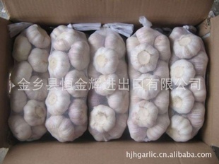 ˾ڴȸũƷֹ񴿰հ״