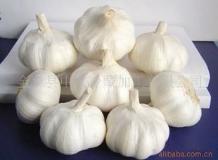 ״purewhitegarlic