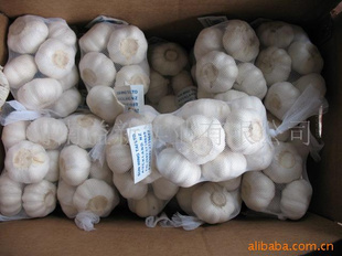 ۴/ڼ/whitegarlic