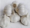 ڹ޹˾۵Ľ