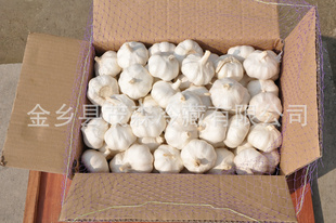 仓储纯白大蒜出口级金乡大蒜量多惠