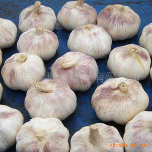 ӹڽհ״״