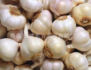 ൺ䶳ˮƬⶡӽ