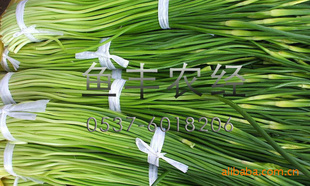 ũԽֱ2012걣̦