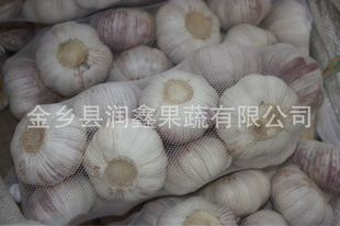 ڼƷ