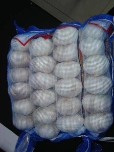 ʴհס