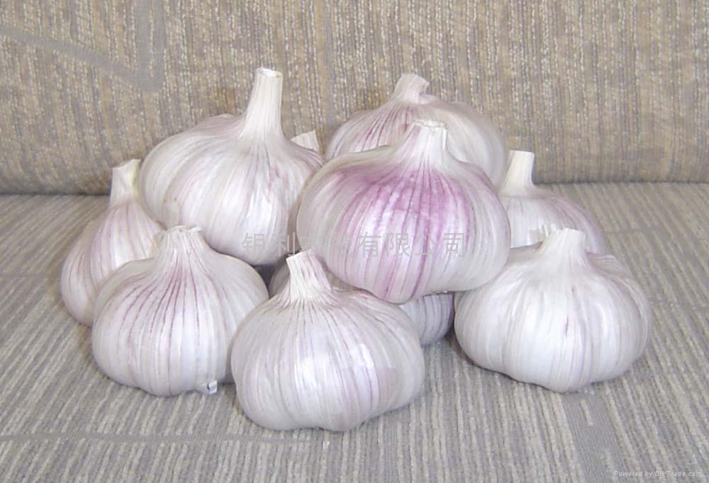 Ӧ5cm5.5cmڼհ⣬ְװ