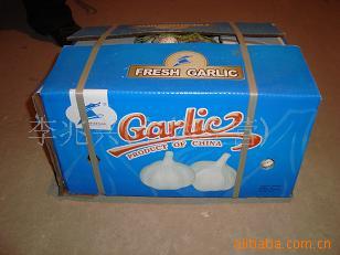 ڼ(garlic)