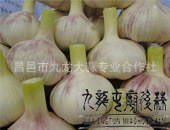 ⣻ȻƷʣ6.5cmڴ
