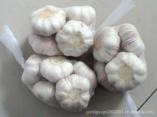 ҳڼ(exportgarlic)