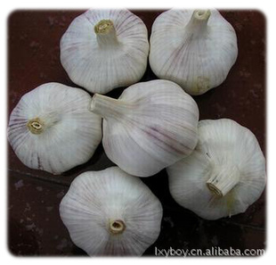 ŷǹհ״5.5cm250g10kgֽ,10