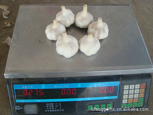 ڼ50-55-60cm