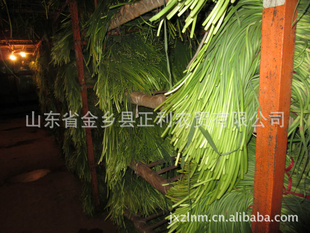 ʽ޷ӹ2013