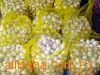 -garlic