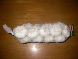 Ҵհ׽(jinxianggarlic)
