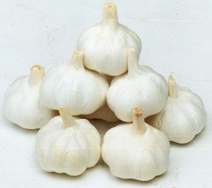 ӹֹ⣨ͼ