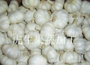 20134-610kggarlic