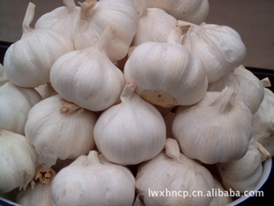 销售出口级大蒜及普通大蒜、白皮蒜