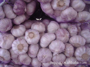 ӹڸհ״״