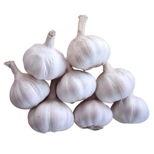 ǿóװô