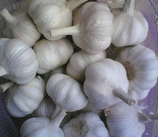 2011Ƥ⣬شͼ1Ԫ-1.5Ԫ/