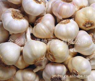 金乡特产常年大量代存代销保质保量金乡薄皮白皮蒜