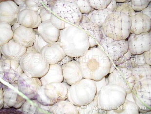 ڼ5.5cm⣬ְװ