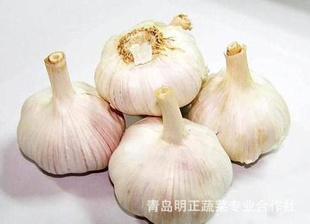 ൺ޹|߲