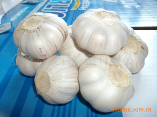 ӹ10KG1KG500Gȸִ