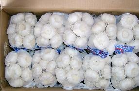 ʴ200g/10kg/ֽ