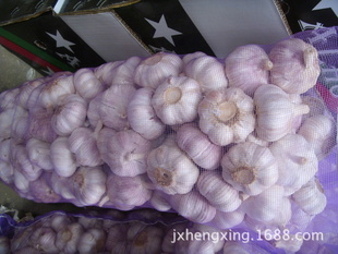 ⹤ڶ˹׼5.05.510ֽɢװ