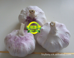 ڽ紿״10ֽ䣬5.0CMֹСװ