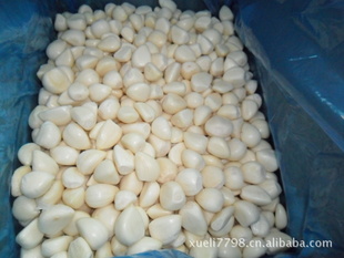 ¼ٶӽף220-300/kg