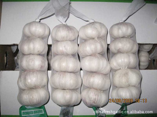 大蒜量保出口级大蒜