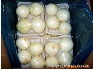 ָƷfresh?garlic