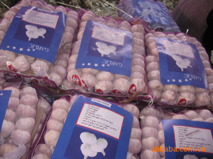 ɽũó2011հ״