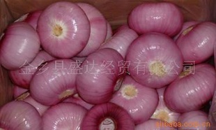 ʢﾭó޹˾Բ8004