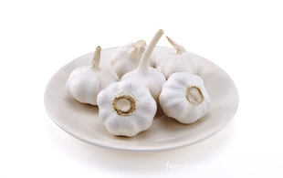 ޹⣨ͼ