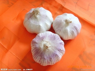 5.0cm5.5cm6.0cm⣬հ״