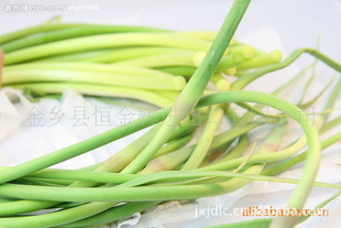 ؽ޹˾ӹ޷
