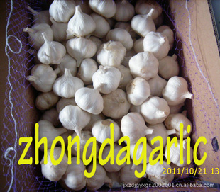 normalwhitegarlic(ͨСװ)